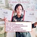 Buy Italian Language Certificate, Buy Plida certificate without exam online